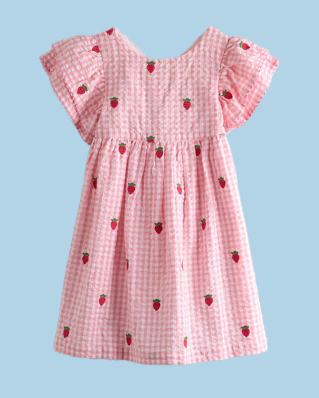 Gingham Strawberry Embroidered Frill Sleeve Dress